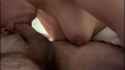 PN384w_thumb.jpg