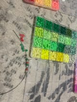 IMG_7911