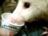 thank you ben thank you jerry