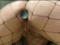 005043025_thumb.jpg