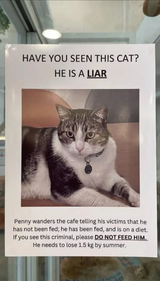 wanted_liar