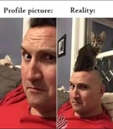 1984684651651651