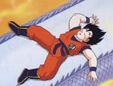 goku49