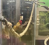 IMG_8001