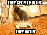 get