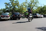 furry on a bike