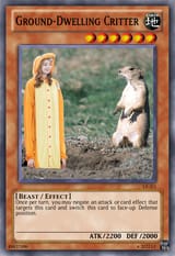 Ground-Dwelling Critter
