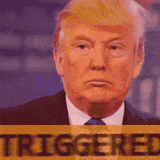 triggered trump