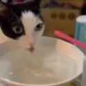 VID_20241213_191407_613_thumb.jpg