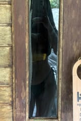 IMG_20250320_133115