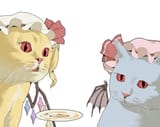 VAMPIRE CATS TALKING