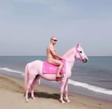 waldemarpoutine