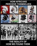 we wuz niggers