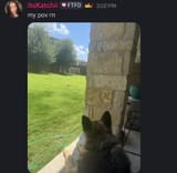 50810_15023