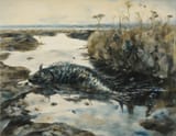 dead fish in a stagnant pond