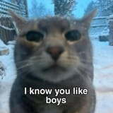 youlikeboys