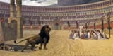 martyers in the colloseum