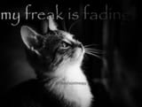 freak