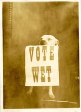 vote_wet