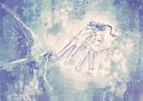 Cracked_Stars
