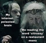 1724732709435