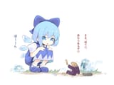 CIRNO FROG SUITED