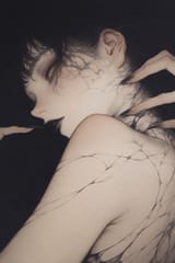 t_076