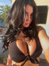 snapins-ai_file_2
