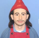 gnome-shane