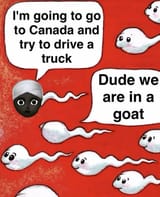 36a8d6abeef2a94aab68b61f80e08131