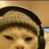 Cute Animal Selfie
