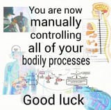 1732856991246129