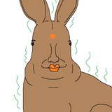 indianbnuuy