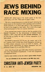 Jews_Behind_Race_Mixing