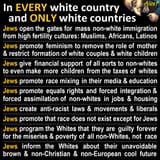 white-genocide-aliceee-2