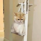Thread image