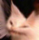 1515818072224