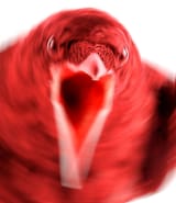 1747677543588809