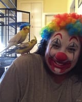 Clowneb Klowek