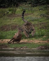IMG_2793