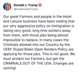 Trump always cucks out