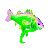 bassrunner