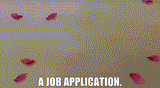 job application