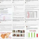 Demographic Collapse