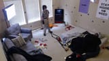 vlcsnap-2025-06-11-08h32m51s671