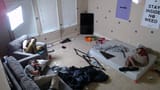 vlcsnap-2025-06-11-08h28m41s617