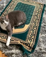 Abdul