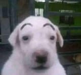 1749808787030