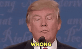 trump-wrong