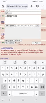 Screenshot_20250613_200026_Chrome